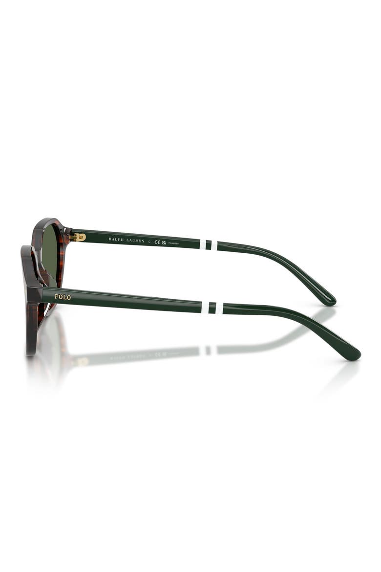 54mm Polarized Irregular Sunglasses, Alternate, color, SHINY HAVANA / POLAR GREEN