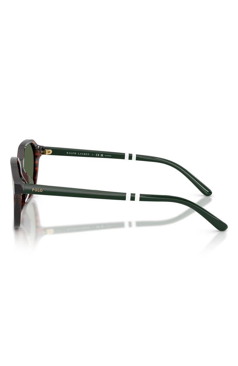 Polo Ralph Lauren 54mm Polarized Irregular Sunglasses, Alternate, color, Shiny Havana / Polar Green