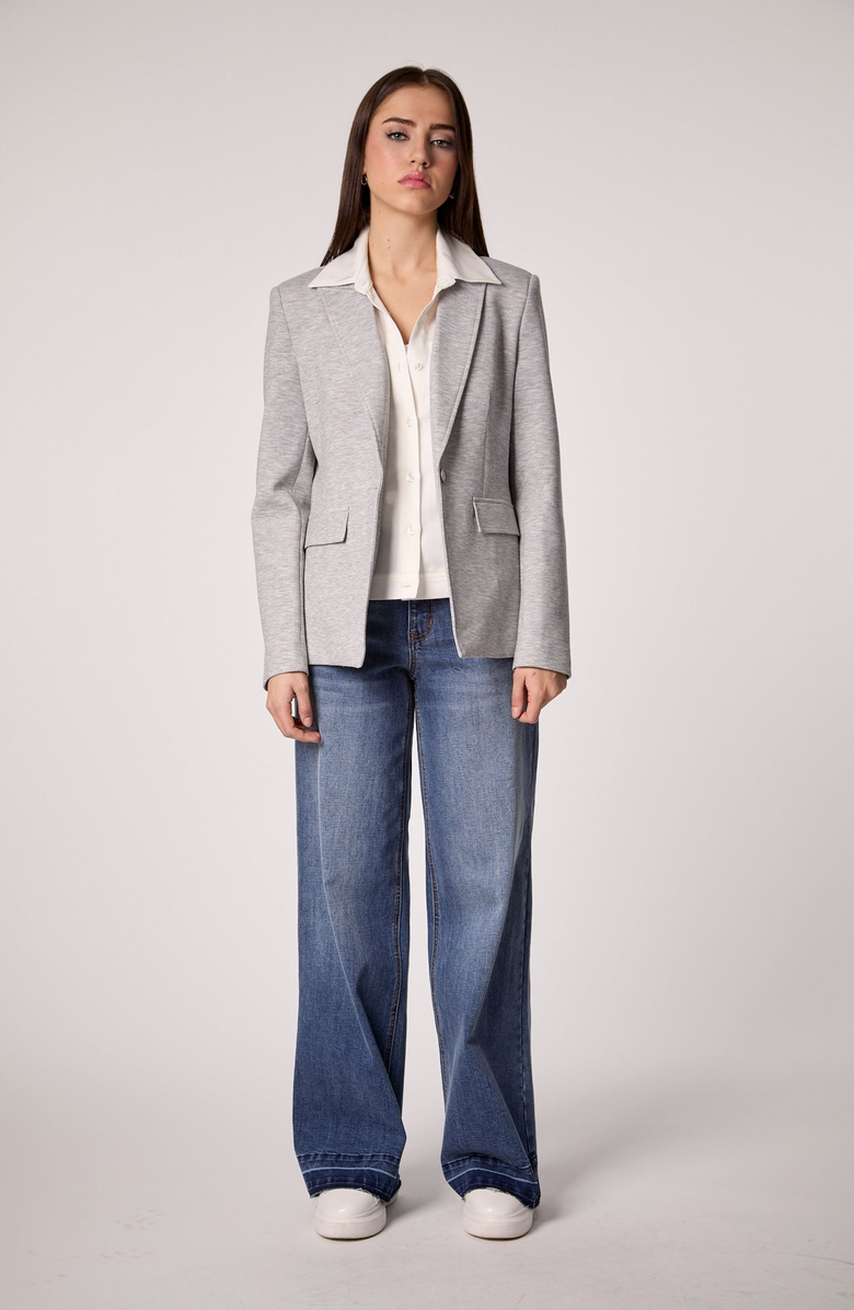 BLUE REVIVAL Helen Blazer in Heather Cement With Removable Shirt Insert, Alternate, color, 