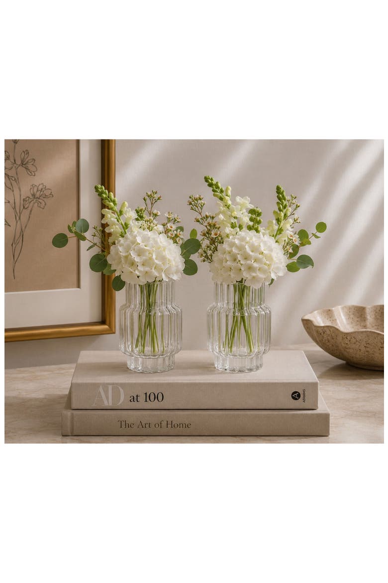 Mimo Set of 2 Glass Vases, Alternate, color, CLEAR