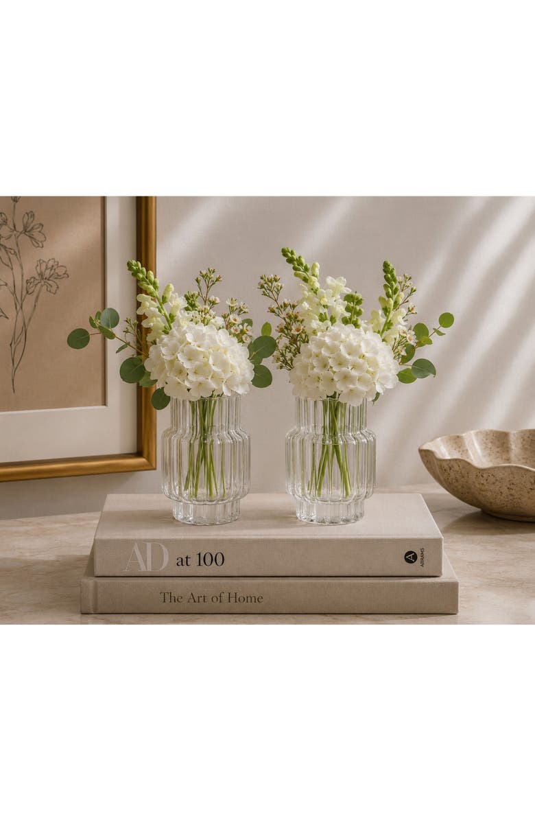 Zodax Mimo Set of 2 Glass Vases, Alternate, color, Clear