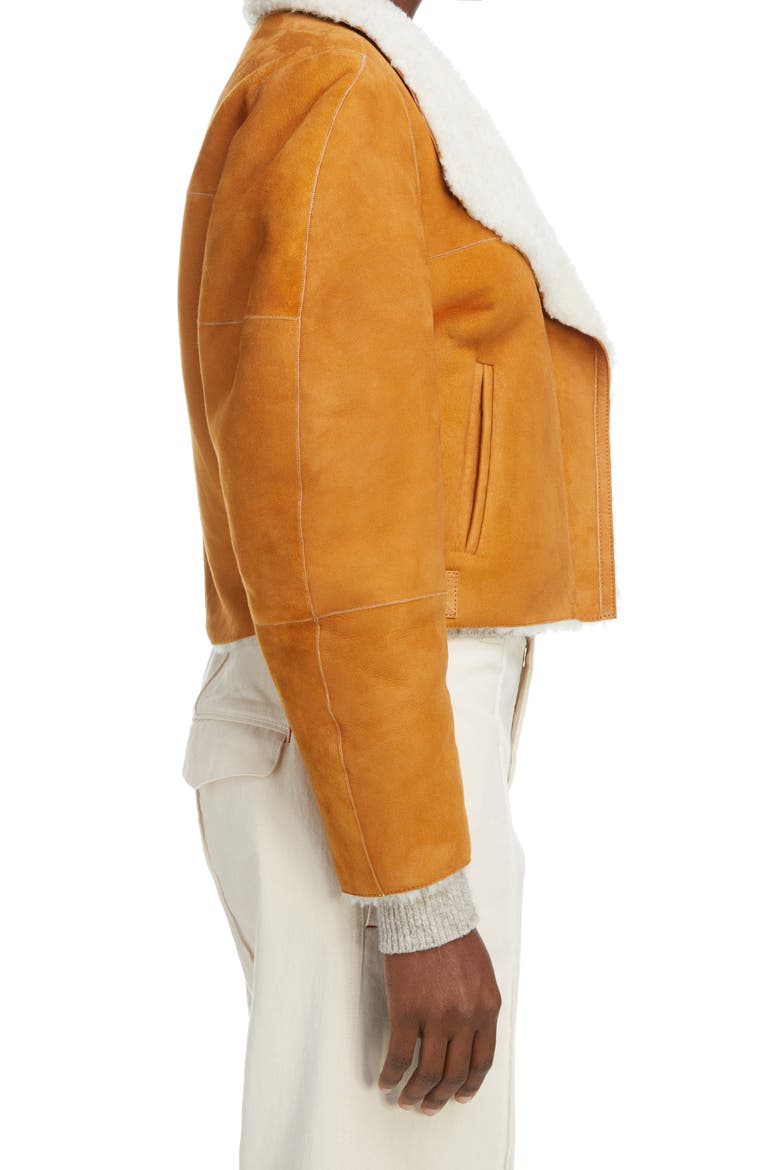 Acacina Crop Genuine Shearling Lined Suede Jacket, Alternate, color, CAMEL