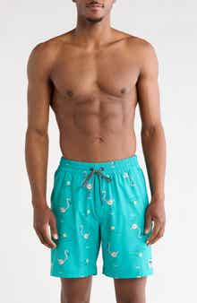 Hurley Shaka Flamingo Volley Swim Shorts