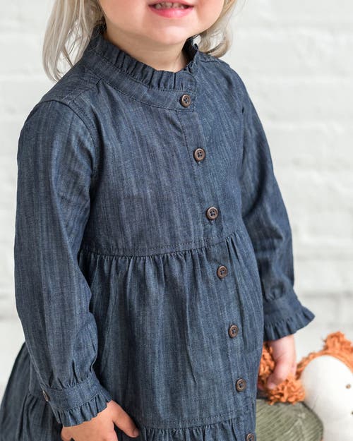 Kendi Tula Chambray Ruffle Shirt Dress In Multi