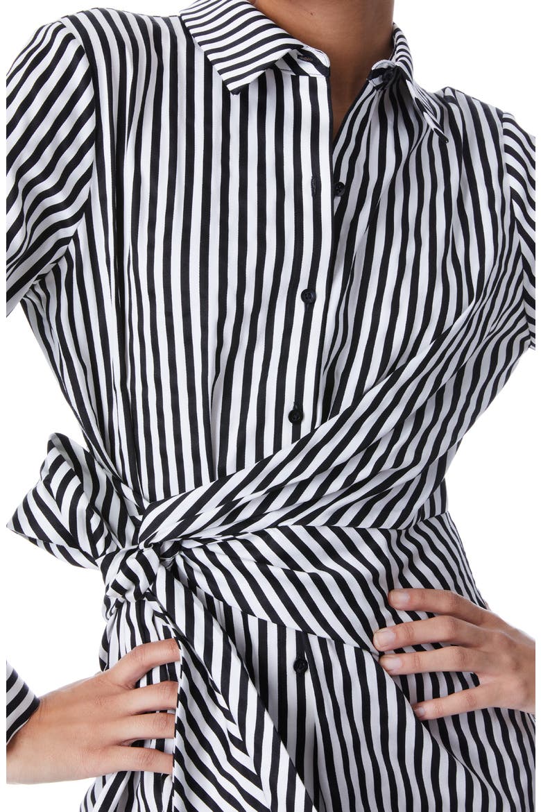 Reina Stripe Long Sleeve Stretch Cotton Shirtdress, Alternate, color, JOY STRIPE
