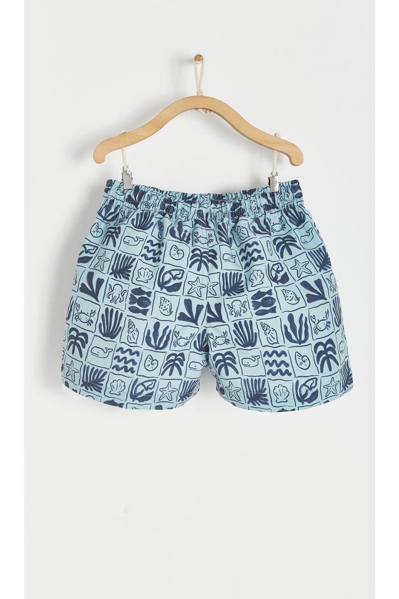 Premium Quality Greece Swim Trunks for Toddler, Alternate, color, LIGHT BLUE