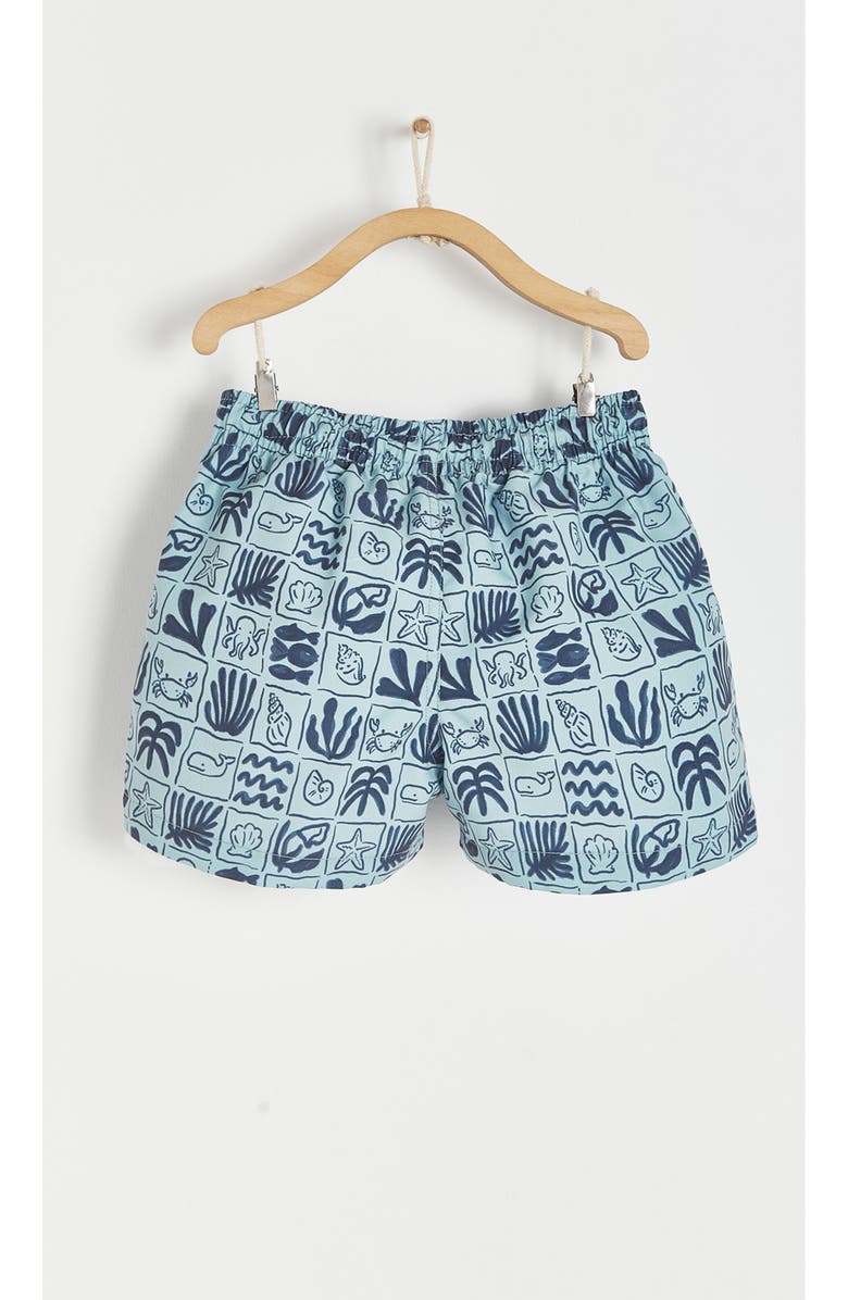 Babycottons Premium Quality Greece Swim Trunks for Toddler, Alternate, color, Light Blue