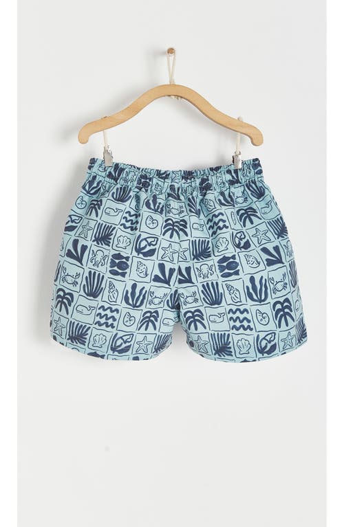 Babycottons Beach Swim Trunks In Light Blue