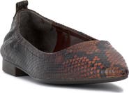 Vince Camuto Ashleah Pointed Toe Flat