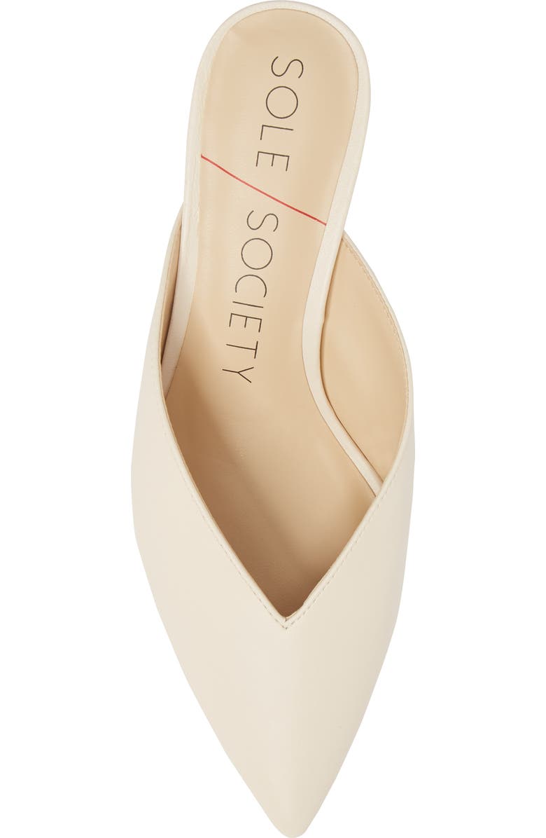 Sole Society Maleah Pointy Toe Mule, Alternate, color,