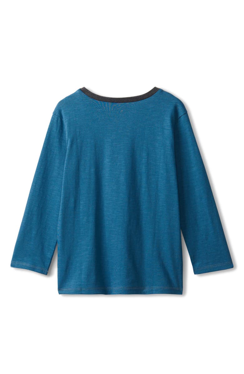 Hatley Kids' Arctic Carving Graphic T-Shirt, Alternate, color, 