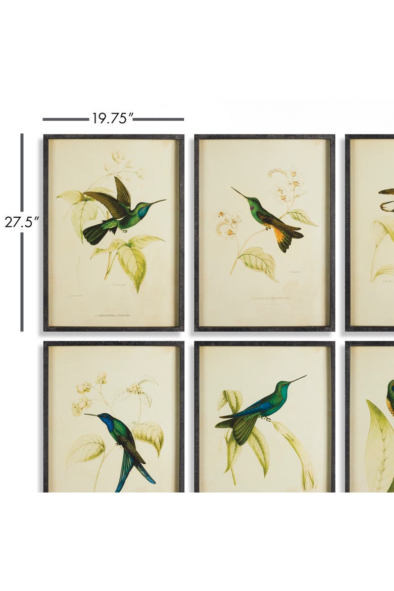 Hummingbird Prints Set of 6, Alternate, color, Black