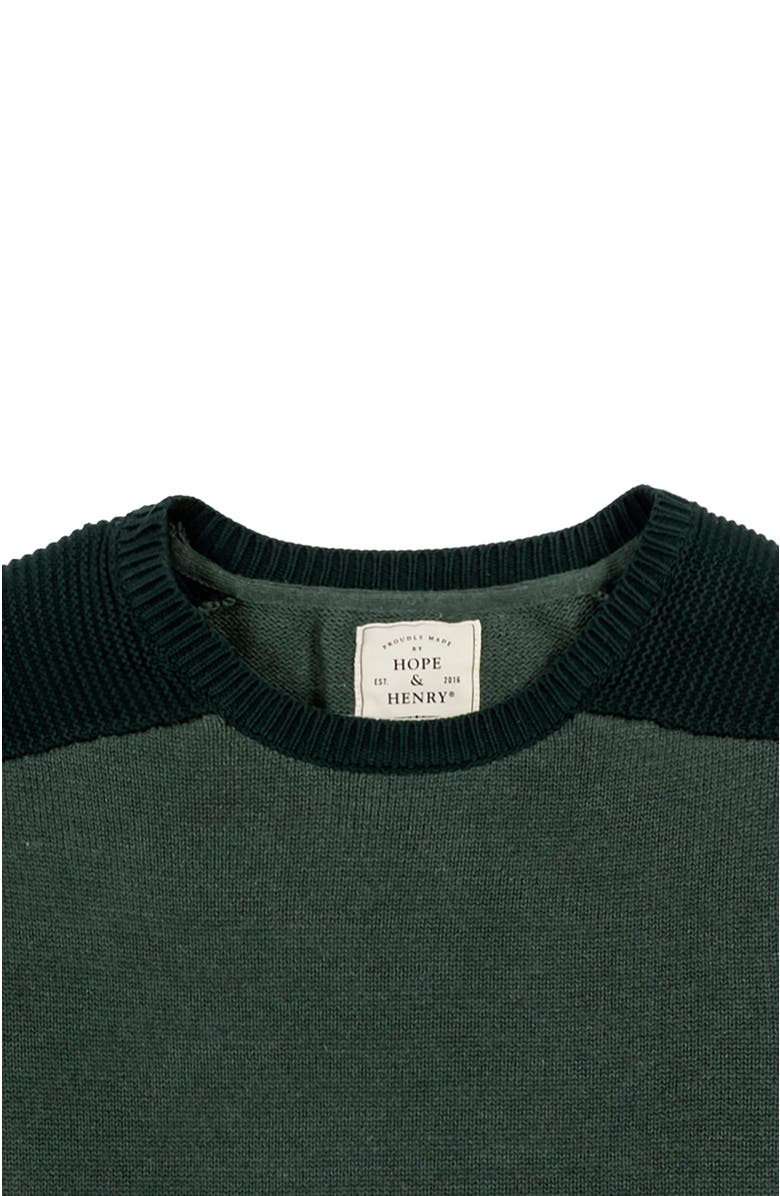 Hope & Henry Men's Organic Shoulder Detail Crew Neck Sweater, Alternate, color, 