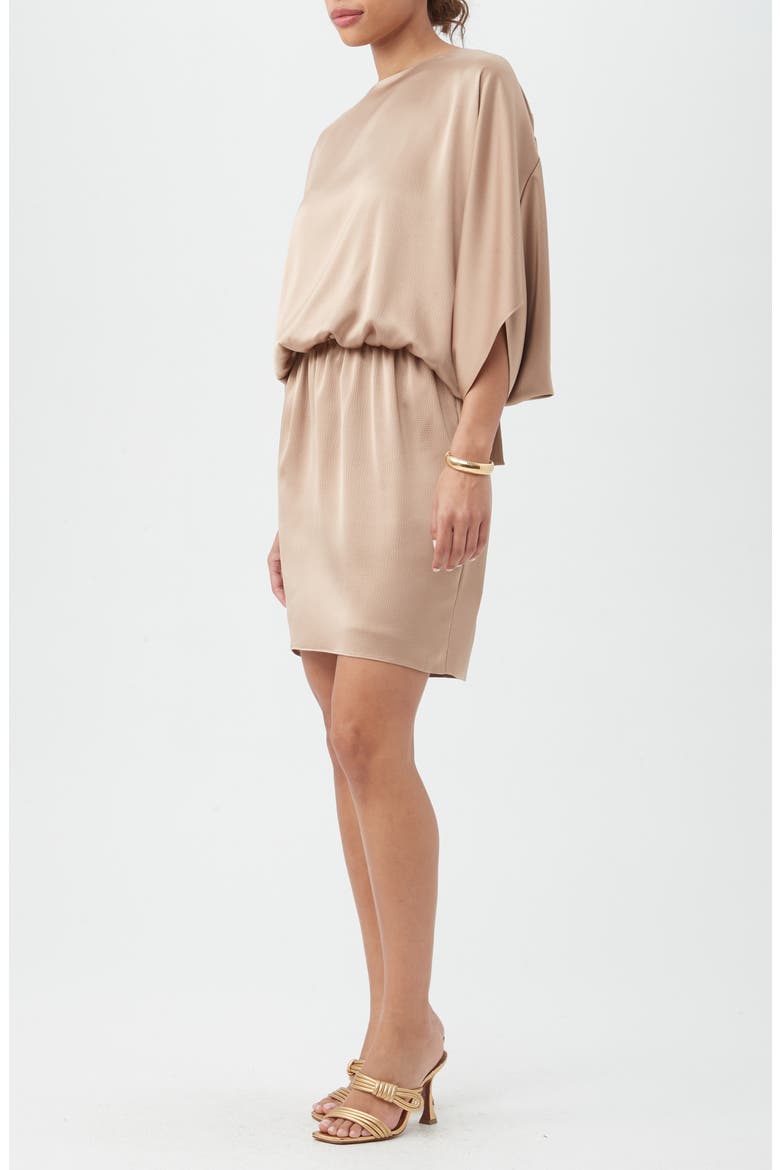 Manhattan Dropped Waist Dress, Alternate, color, CAMEL