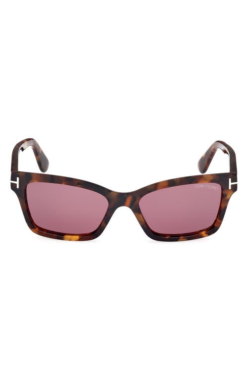 Tom Ford Mikel 54mm Square Sunglasses In Brown