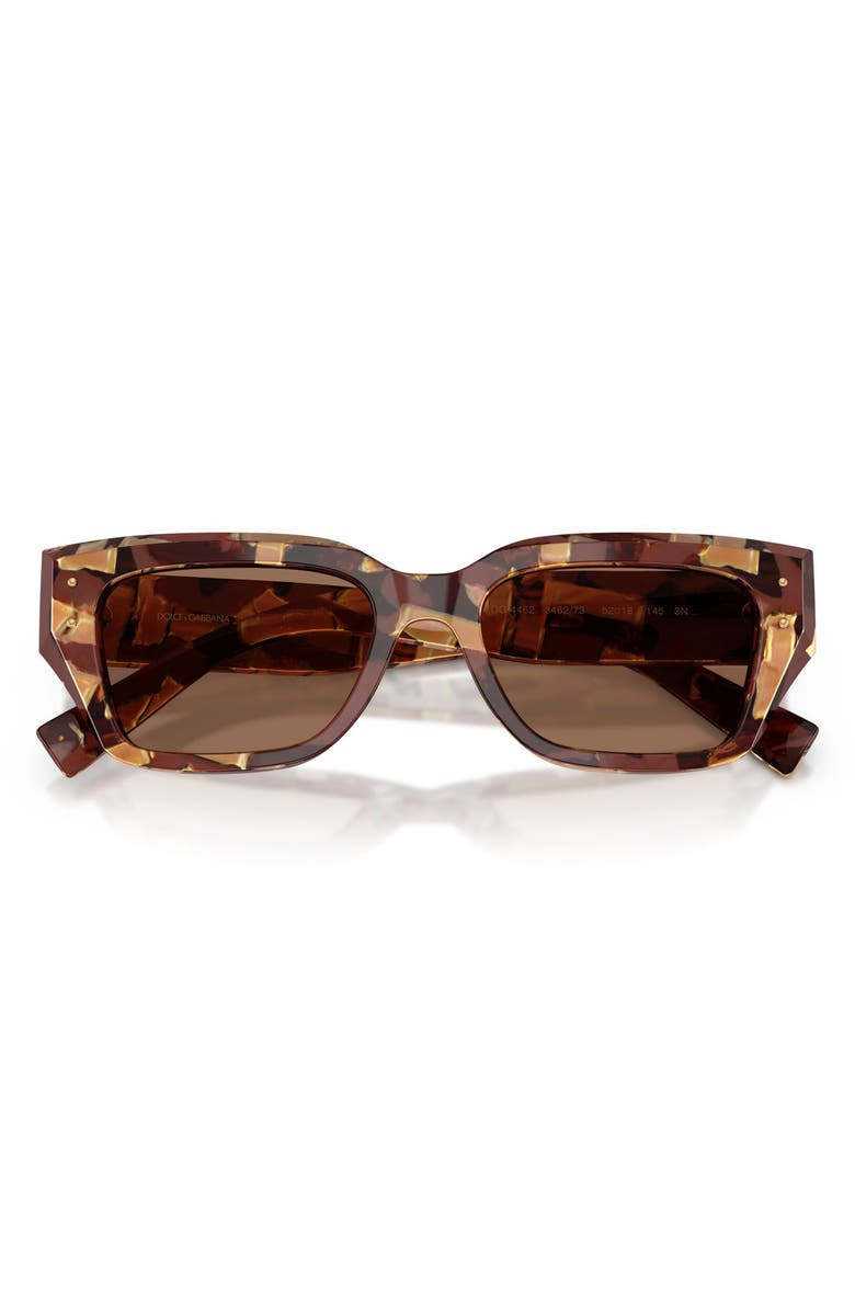 Dolce&Gabbana 52mm Cat Eye Sunglasses, Alternate, color, Pearl Havana Brown / Brown