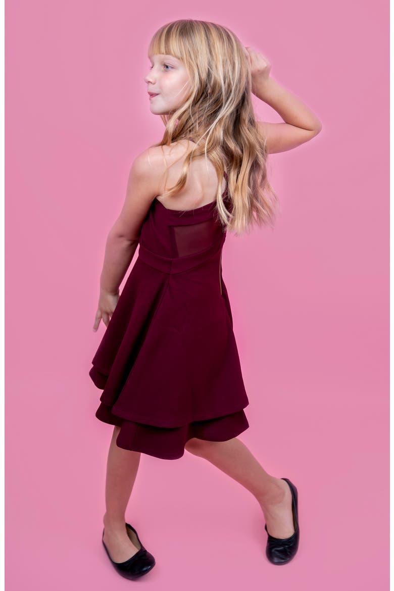 Illusion Back Skater Dress, Alternate, color, WINE