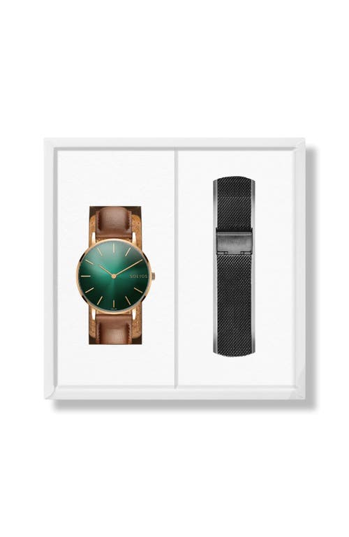 Solios Watches The Rainforest Classic Bundle | Green Dial