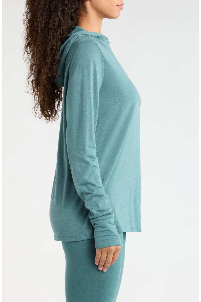 Sun Merino Wool Blend Hoodie, Alternate, color, DUSTY TEAL