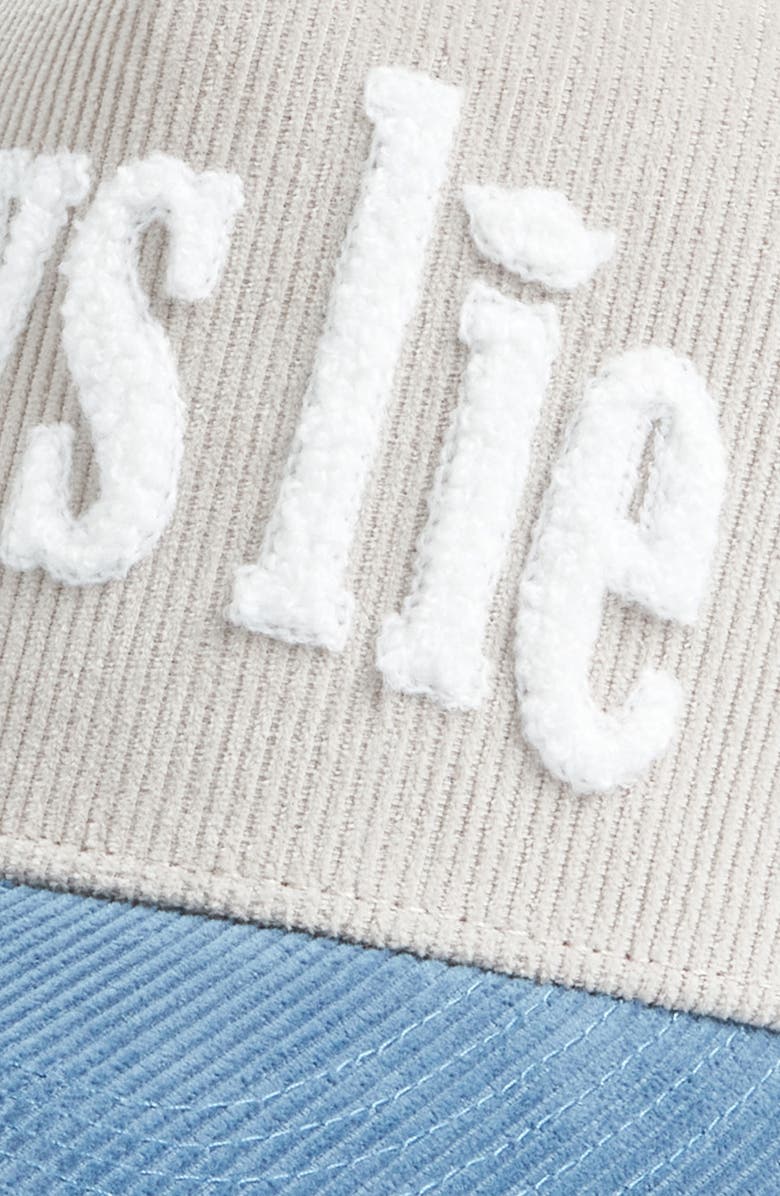 BOYS LIE Don't Text Them Back Corduroy Trucker Hat, Alternate, color,