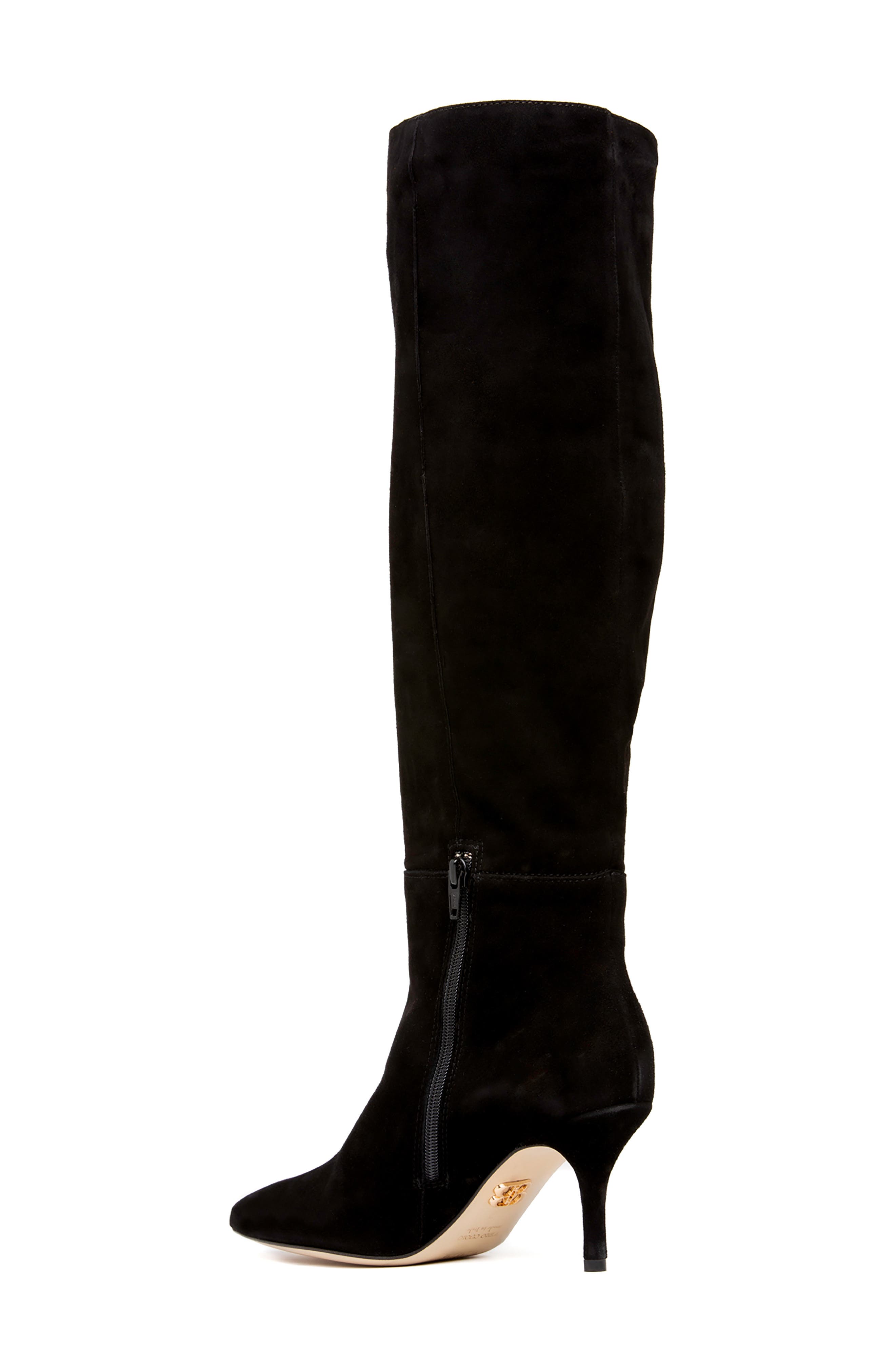 BEAUTIISOLES Wendy Pointed Toe Knee High Boot, Alternate, color, 