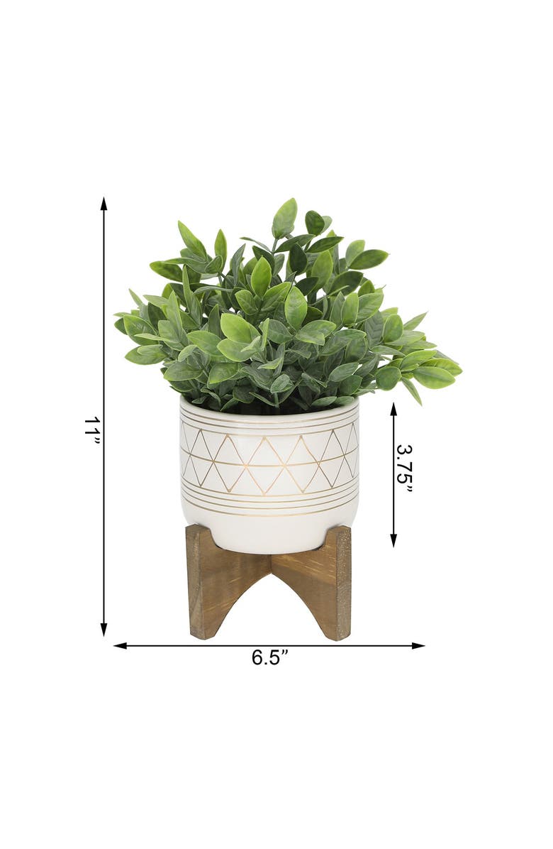 FLORA BUNDA 12" Tea Plant in 5" Geo Ceramic Footed Pot, Alternate, color, 