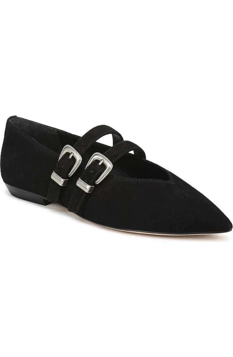 Veronica Beard Bancroft Pointed Toe Mary Jane Flat, Main, color,