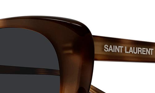 Saint Laurent 52mm Cat Eye Sunglasses In Brown