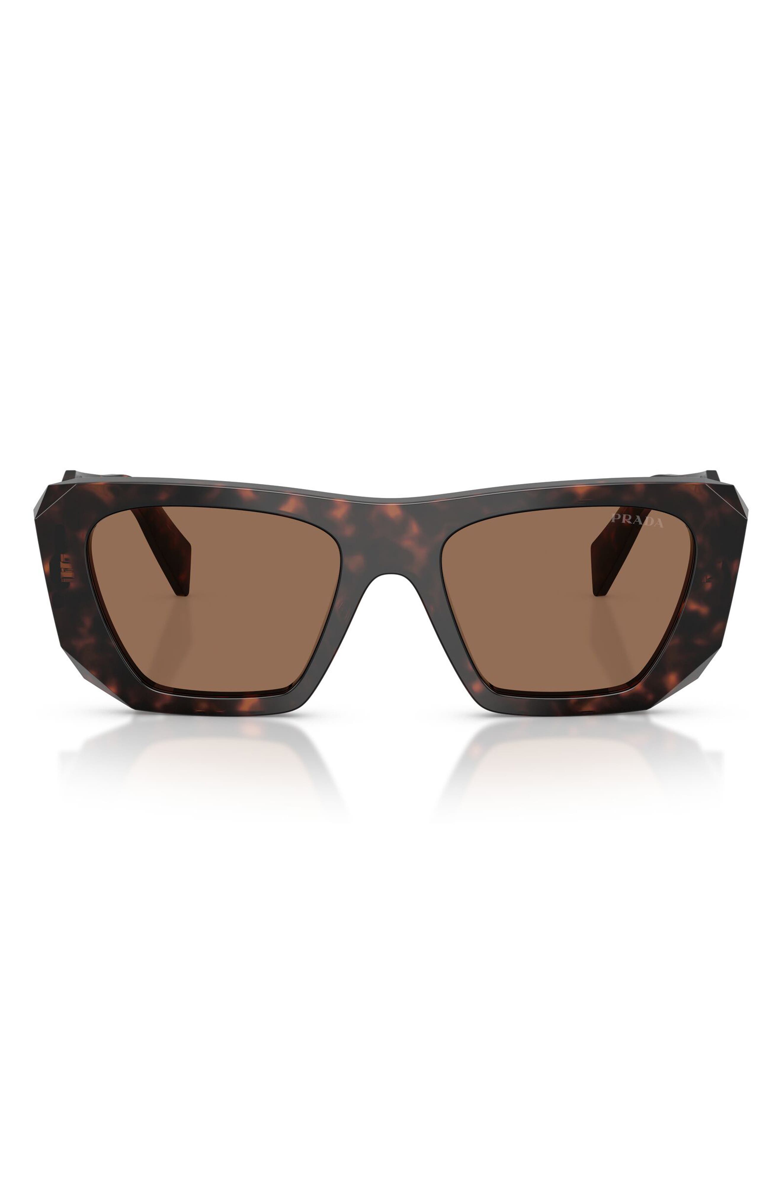 ROOT TORTOISE / DARK BROWN
