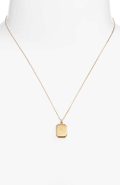 Set & Stones Audrey Birth Flower Pendant Necklace In Gold