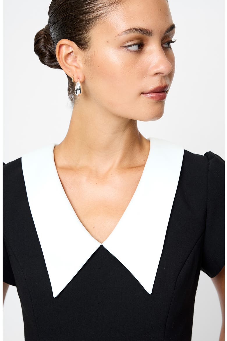 Azra Oversize Collar Top, Alternate, color, BLACK-WHITE