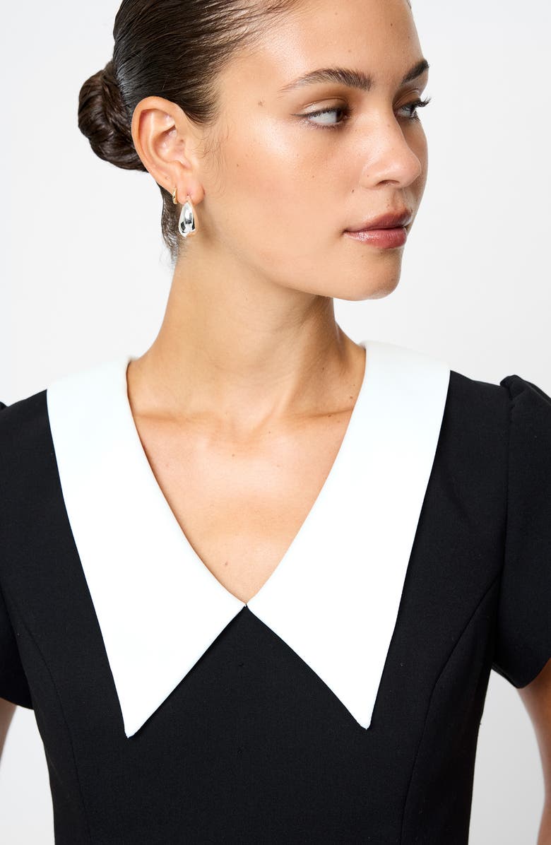 French Connection Azra Oversize Collar Top, Alternate, color, Black-White