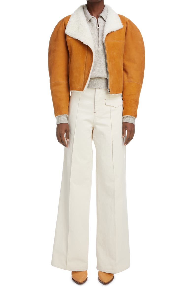Acacina Crop Genuine Shearling Lined Suede Jacket, Alternate, color, CAMEL