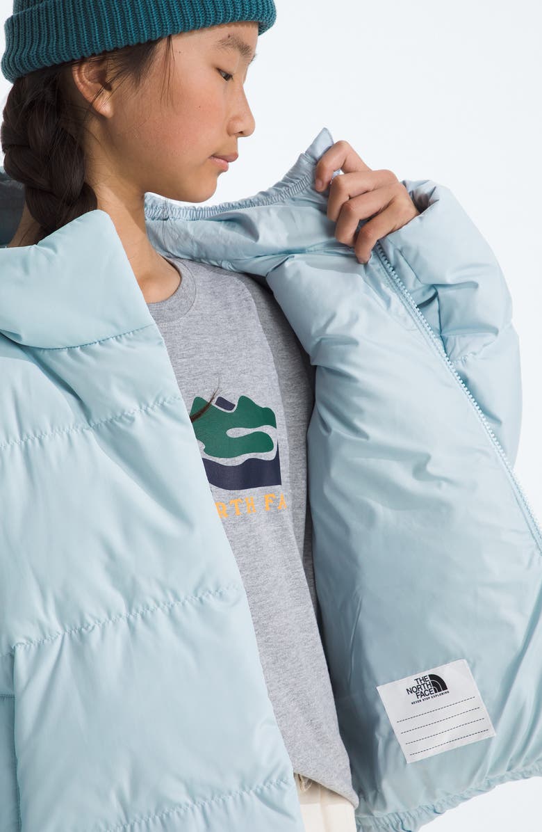 The North Face Kids' North 600-Fill-Power Down Hooded Jacket, Alternate, color, Polar Haze