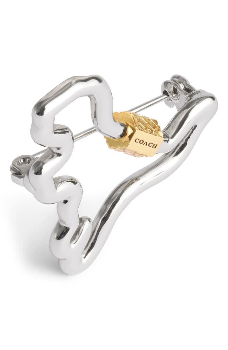 COACH Carabiner Rexy Brooch, Alternate, color, 