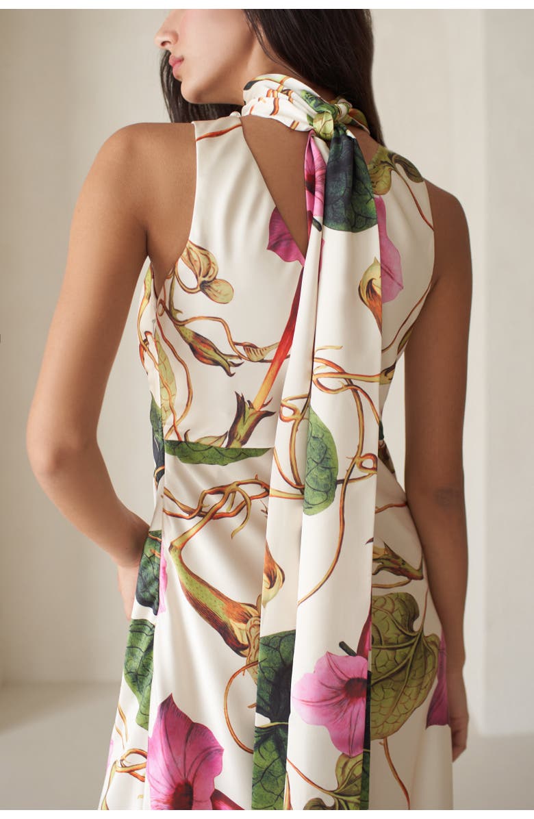 Vasiliki Catalina Silky Gown In Rafflesia, Alternate, color, Rafflesia