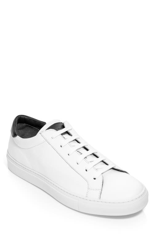 TO BOOT NEW YORK Bloom Low Top Sneaker in White/blue 