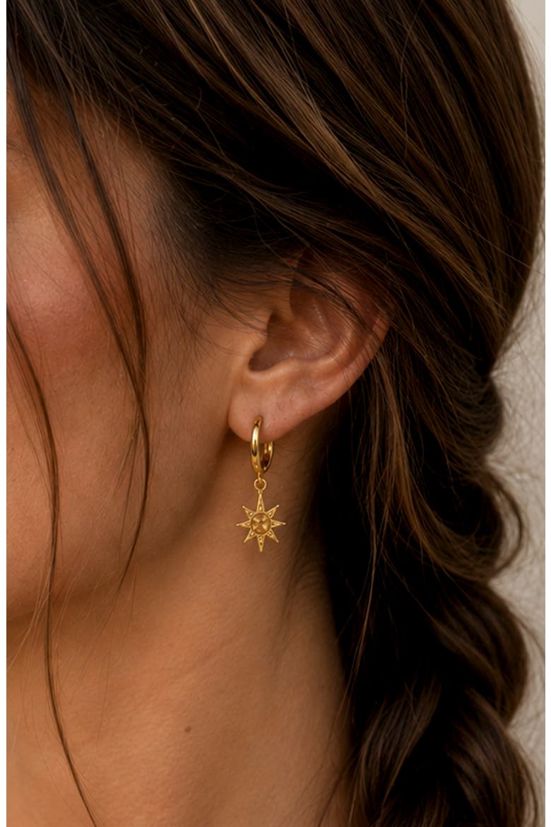 Solar Charm Hoop Earrings, Alternate, color, GOLD