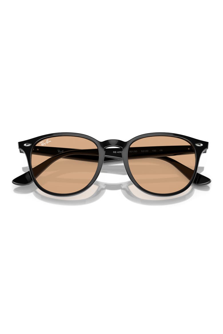 53mm Phantos Sunglasses, Alternate, color, BLACK / BROWN