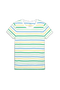 selected Pear Multi Stripe