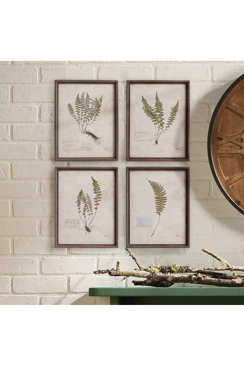 Petite Frond Prints Set of 4, Alternate, color, Off-White