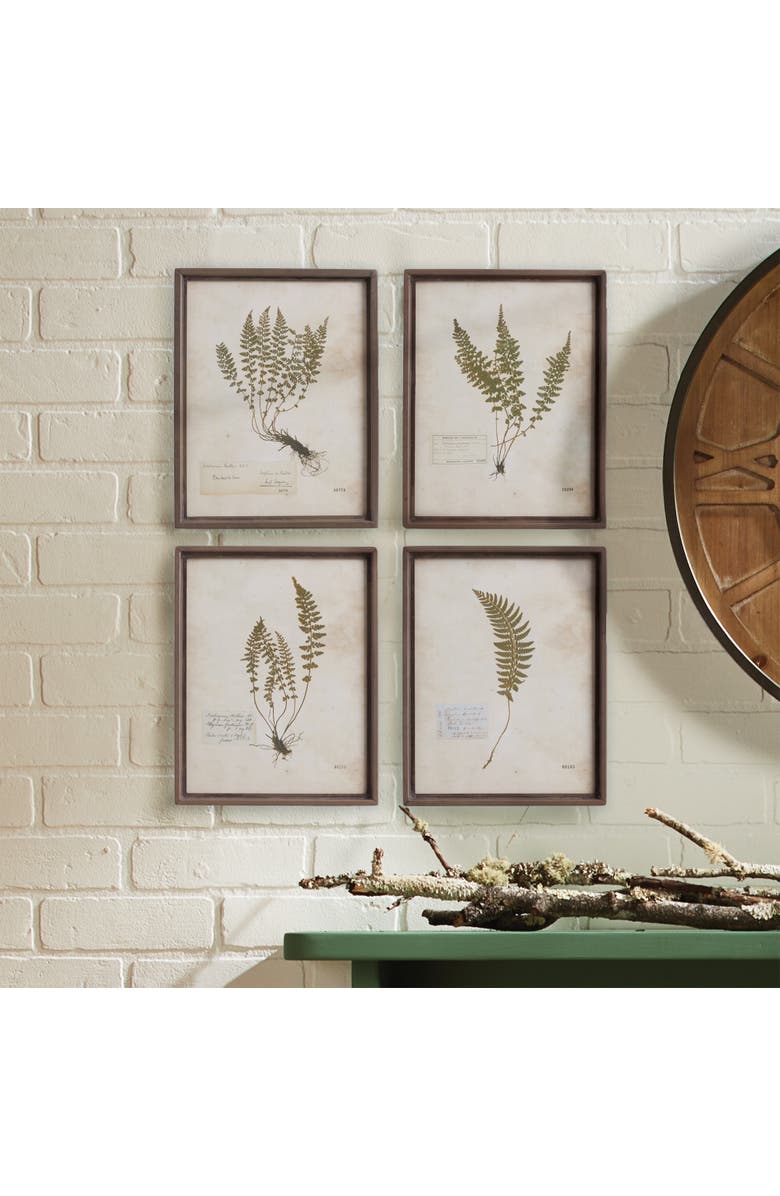 Napa Home & Garden Petite Frond Prints Set of 4, Alternate, color, Off-White