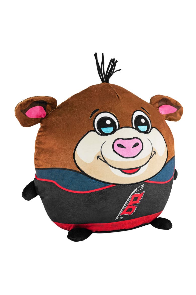 Carolina Hurricanes Kiri Cloud Plushie, Alternate, color, None
