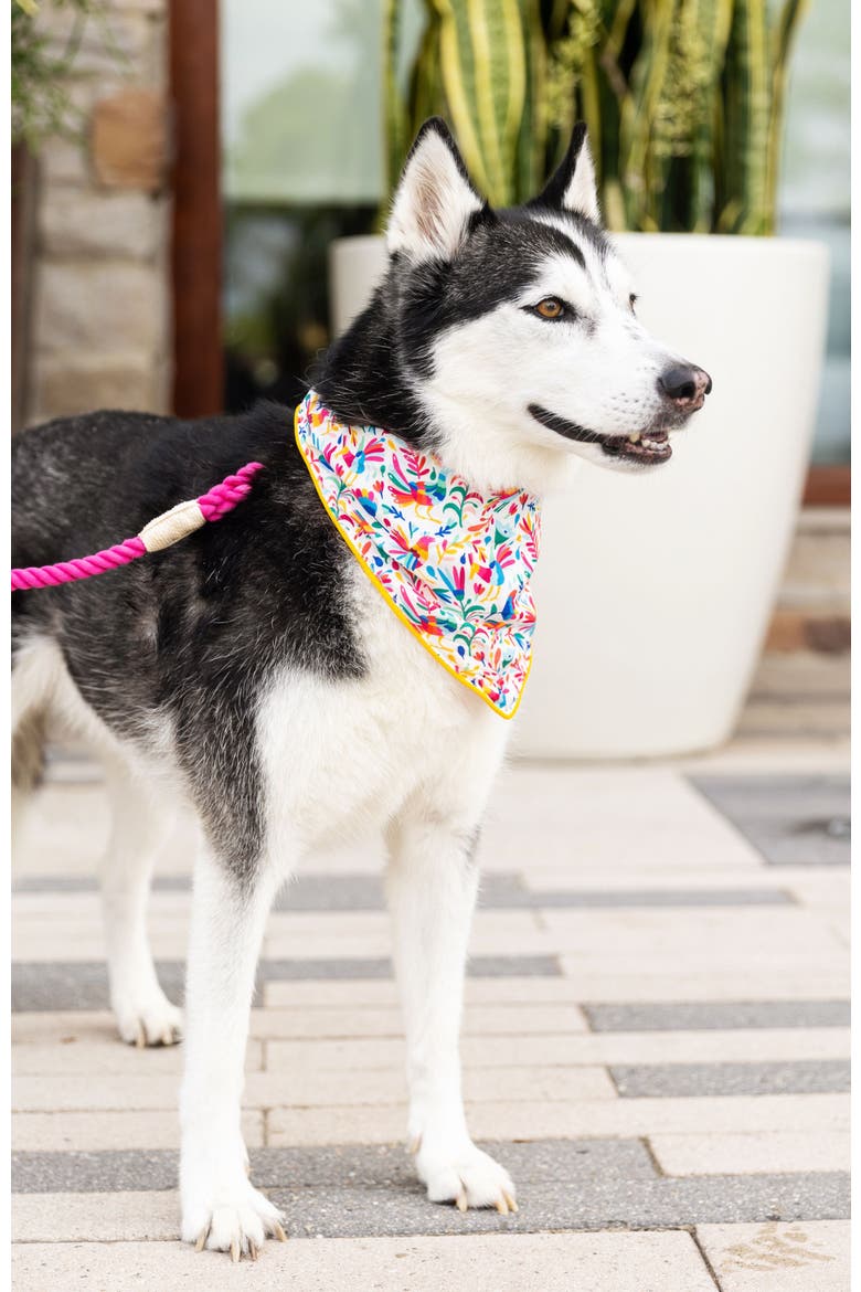 Yesenia Pet Bandana, Alternate, color, Yesenia