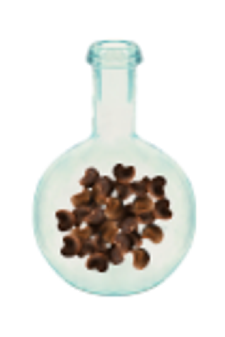 Cedro Eau de Toilette, Alternate, color, Clear