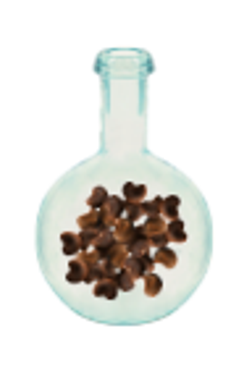 GRANADO Cedro Eau de Toilette, Alternate, color, Clear