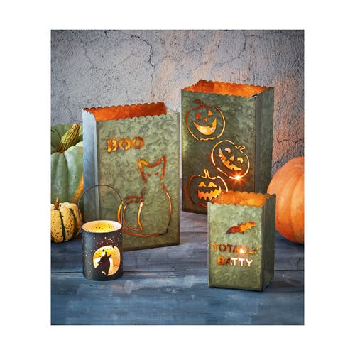 Tag Boo Cat Luminary Decorative Halloween Lantern Sculpture In Gray