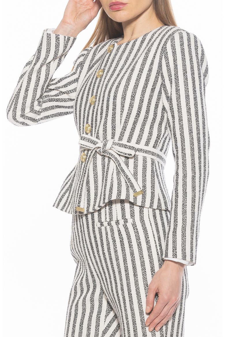 Arjun Stripe Jacket, Alternate, color, NAVY STRIPE