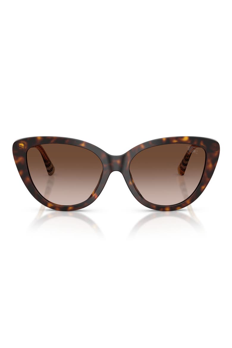 55mm Cat Eye Sunglasses, Main, color, DARK HAVANA / BROWN GRADIENT