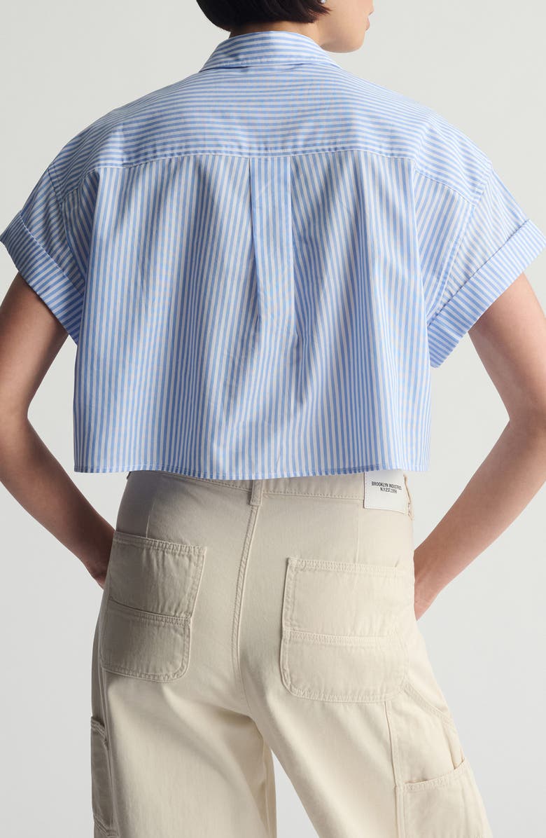 Brooklyn Industries Crop Button-Up Shirt, Alternate, color, 